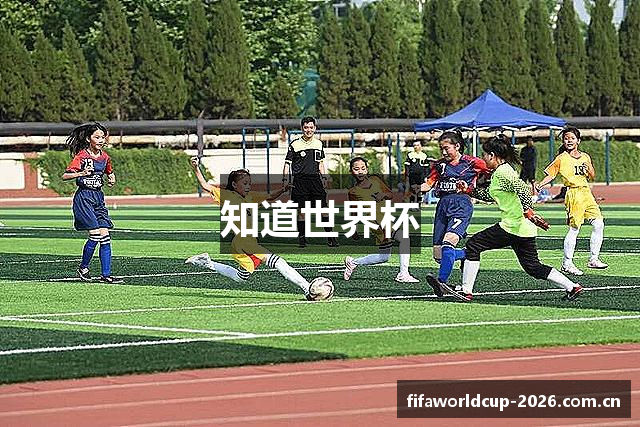 知道世界杯